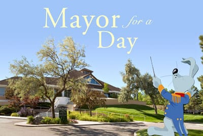 Mayor essay Mayor essay image