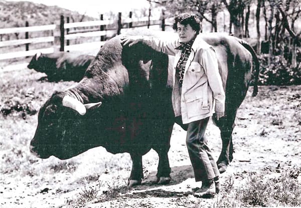 Photo of Tweet Kimball and her Santa Gertrudis cattle 