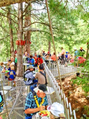 Photo of people eating lunbch on tree top platform