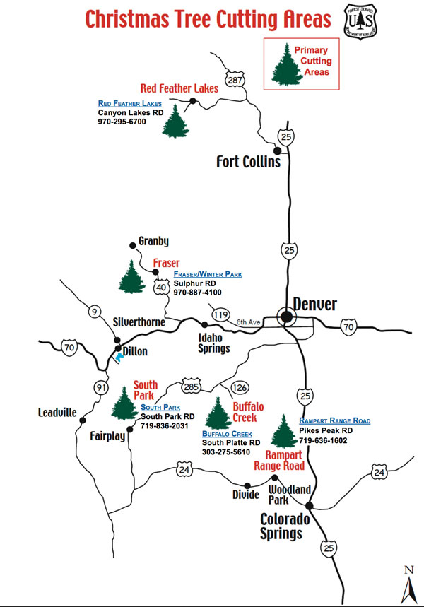 Buffalo Creek Christmas Tree Cutting 2022 A Christmas Tradition Continues… | The Castle Pines Connection