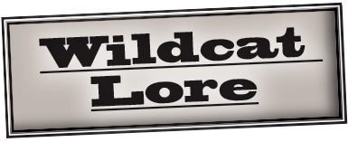 Graphic Wildcat Lore logo