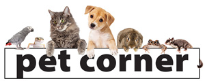 Graphic of Pet Corner Header