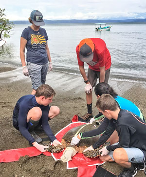 Teens with turtles