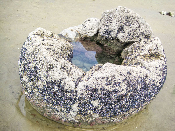 Photo of a Moeraki Boulder