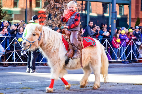 Photo little boy on pony in 2020 National Western Parade