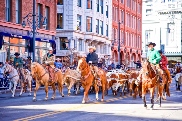 Photo National Western Stock Show2020 parade