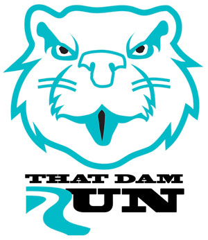 Dam Run Logo