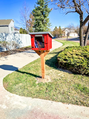 Photo of Little Free Library stocked with books