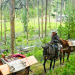 Photo of volunteer for Roundup Riders of the Rockies