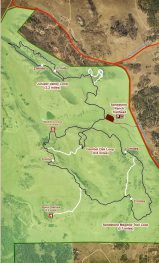 A walk with nature: Sandstone Ranch | The Castle Pines Connection