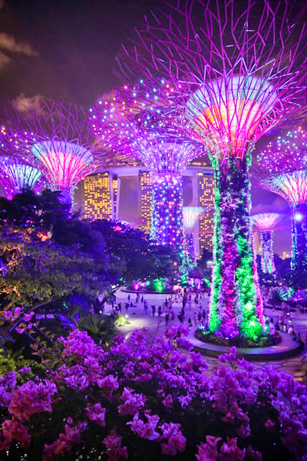 Singapore Botanical Gardens.