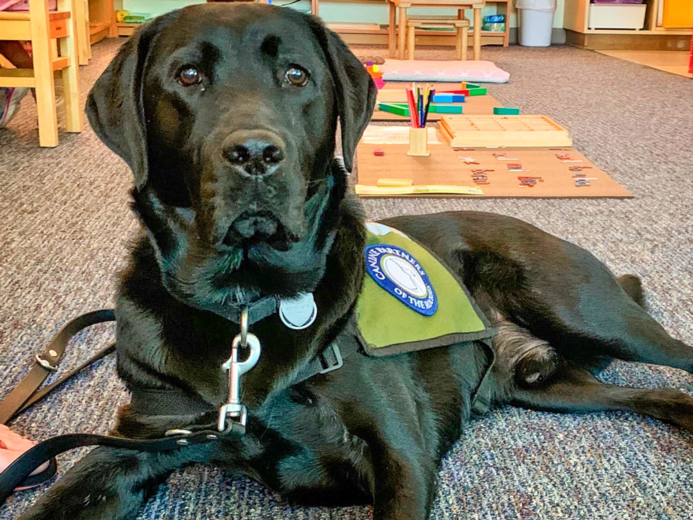 Photo of DCS Montessori dog Yampa