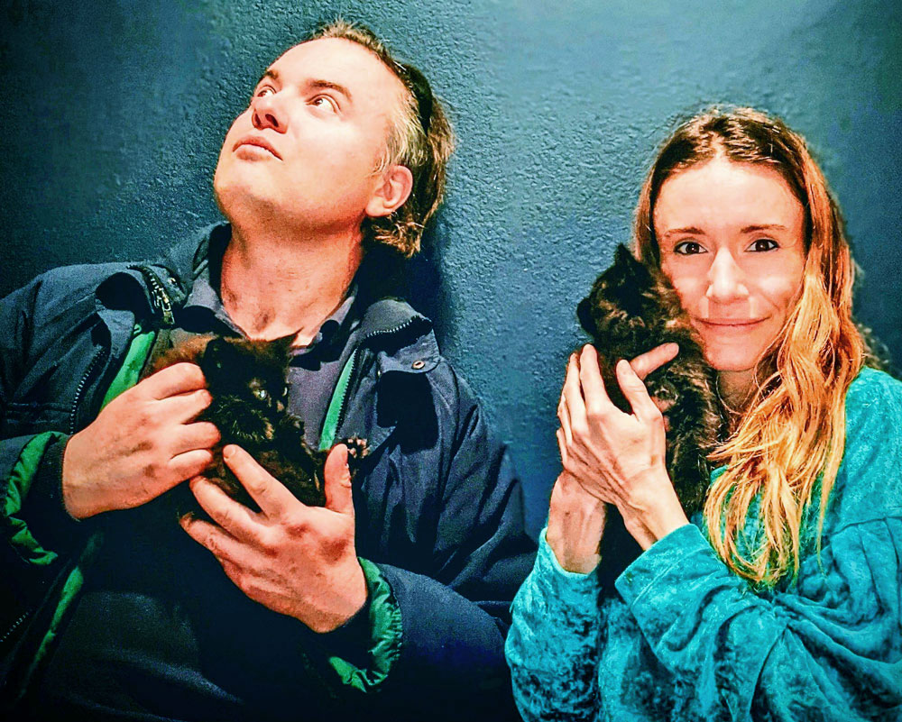 Photo of Peter and Diane Demis are new parents to a family of felines