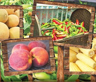 Photo of Colorado produce