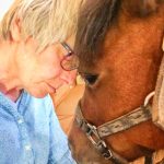 Photo of Equine Partnership Program uses equine-assisted psychotherapy