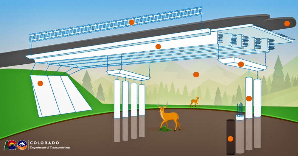 Photo of new wildlife crossings and 28 miles of deer fencing along I-25