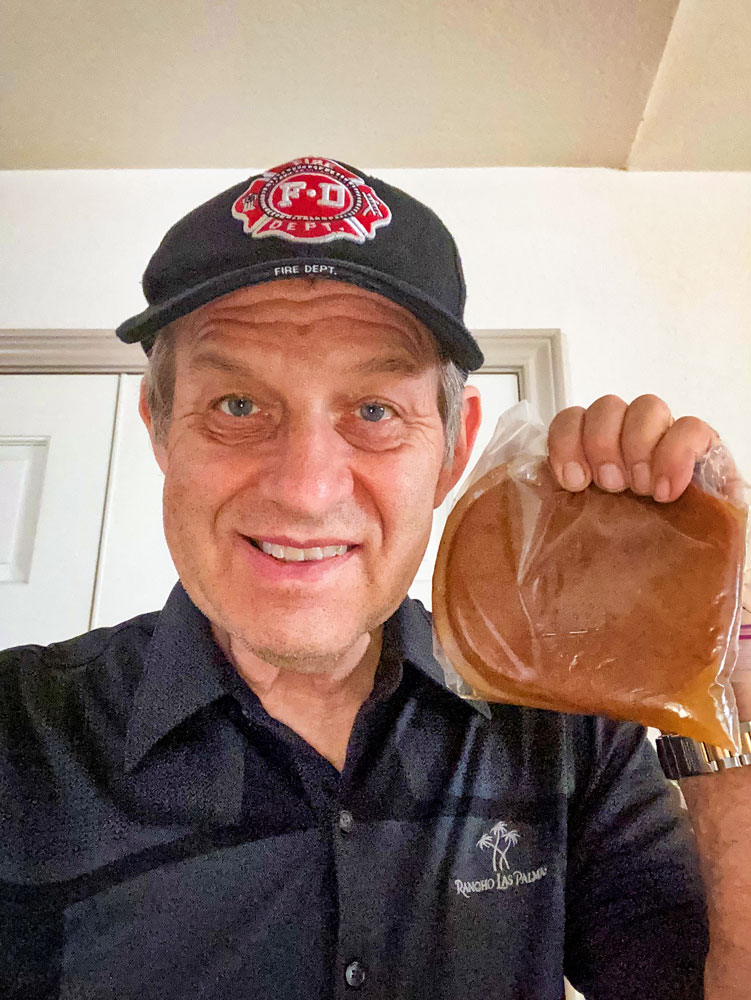 Photo of SCOBY, a starter culture of bacteria and yeast.