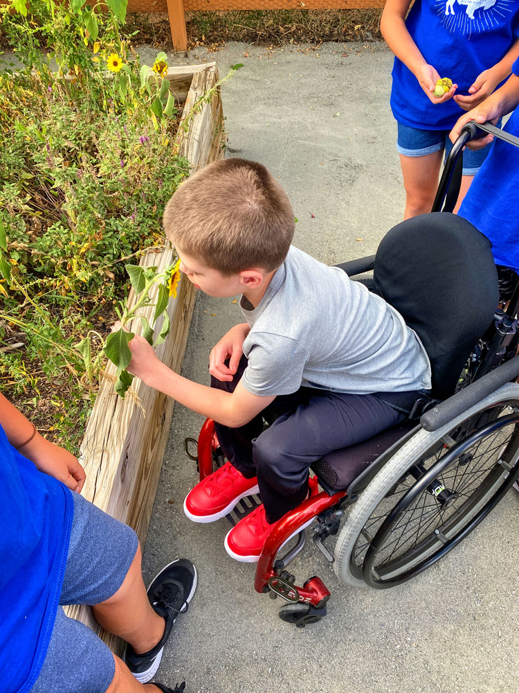 Photo ADA accessible paths