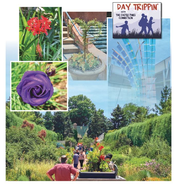 Collage of Denver Botanic Gardens on York Street