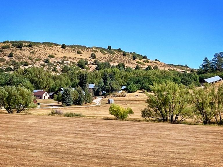 Winkler cattle Company at GE ranch 161 years old