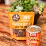 Photo of pumpkin treats for dogs and cats
