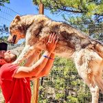 Photo of Drew Robertson, president and executive director of Mattersville Veterans with wolf-dog Autumn.