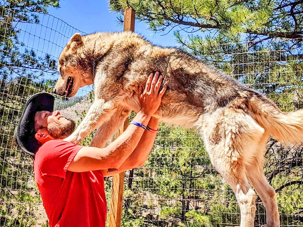 Photo of Drew Robertson, president and executive director of Mattersville Veterans with wolf-dog Autumn.