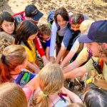 Photo of exploration in elk ecology