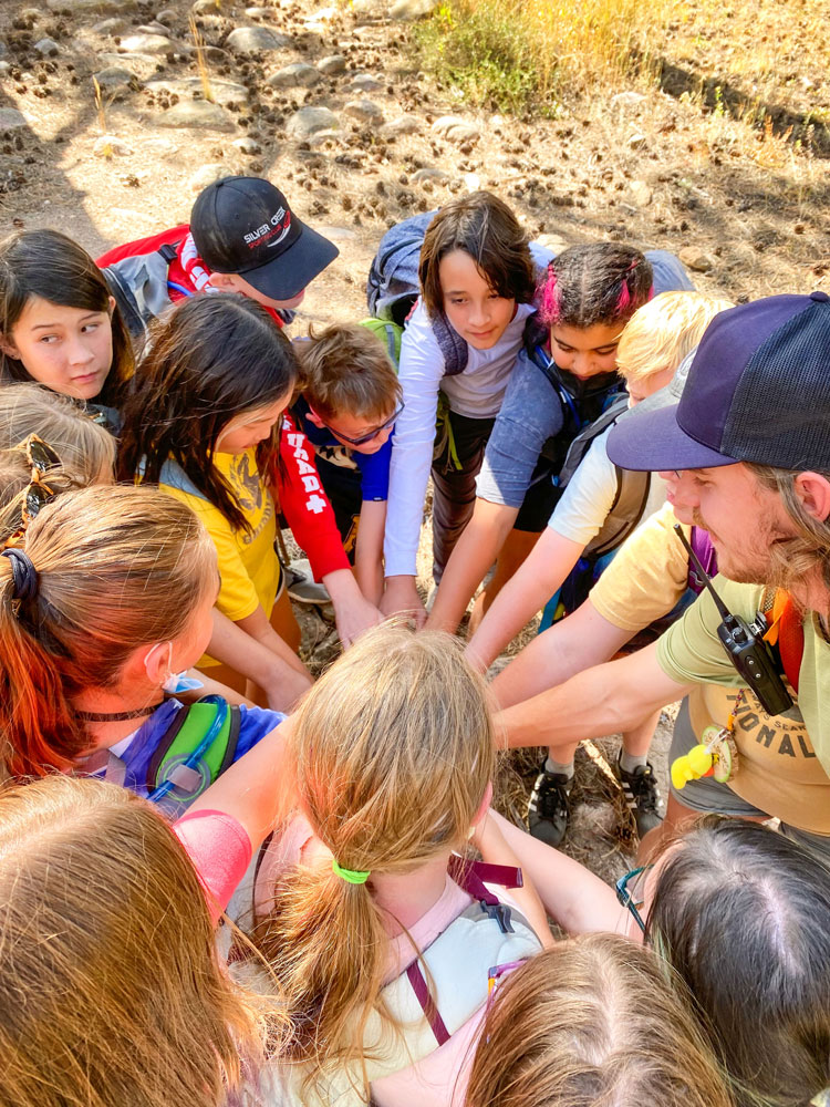 Photo of exploration in elk ecology