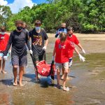 Photo of students carrying a juvenile hawksbill turtle.