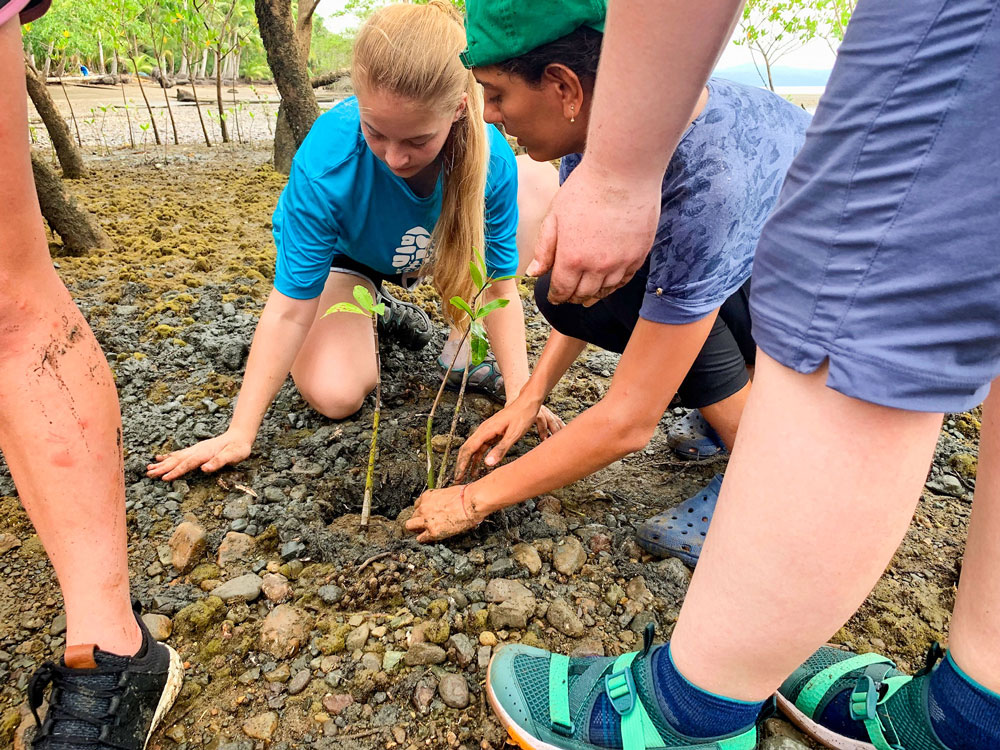 Photo of Brynne Casto in May 2019 planting mangrove saplings in the Osa Peninsula Costa Rica