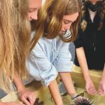 Photo of Chayse Joram held a sea urchin ,