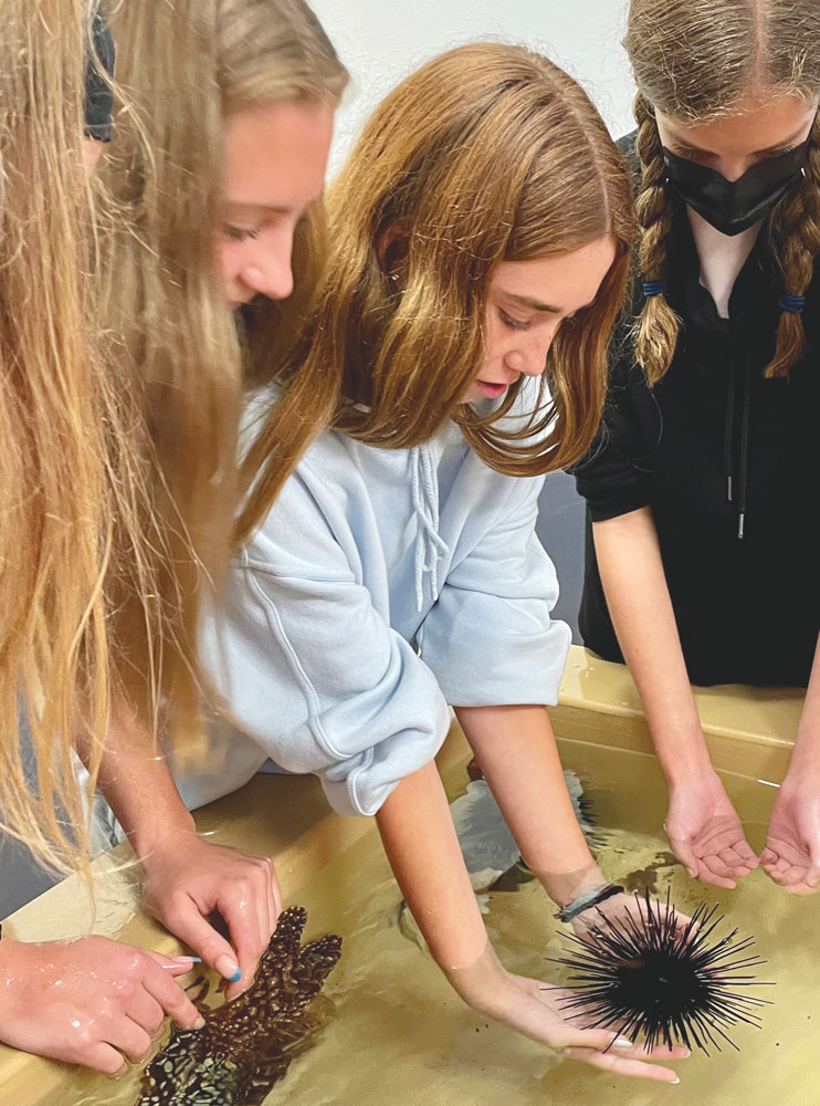 Photo of Chayse Joram held a sea urchin ,