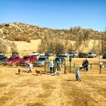 Photo of ever-popular Glendale Farm Dog Park