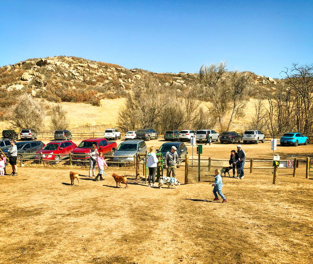 Photo of ever-popular Glendale Farm Dog Park