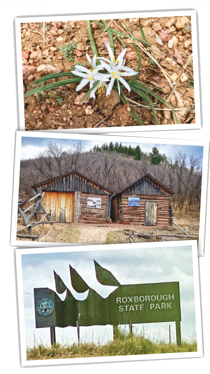 Roxborough State Park The Castle Pines Connection