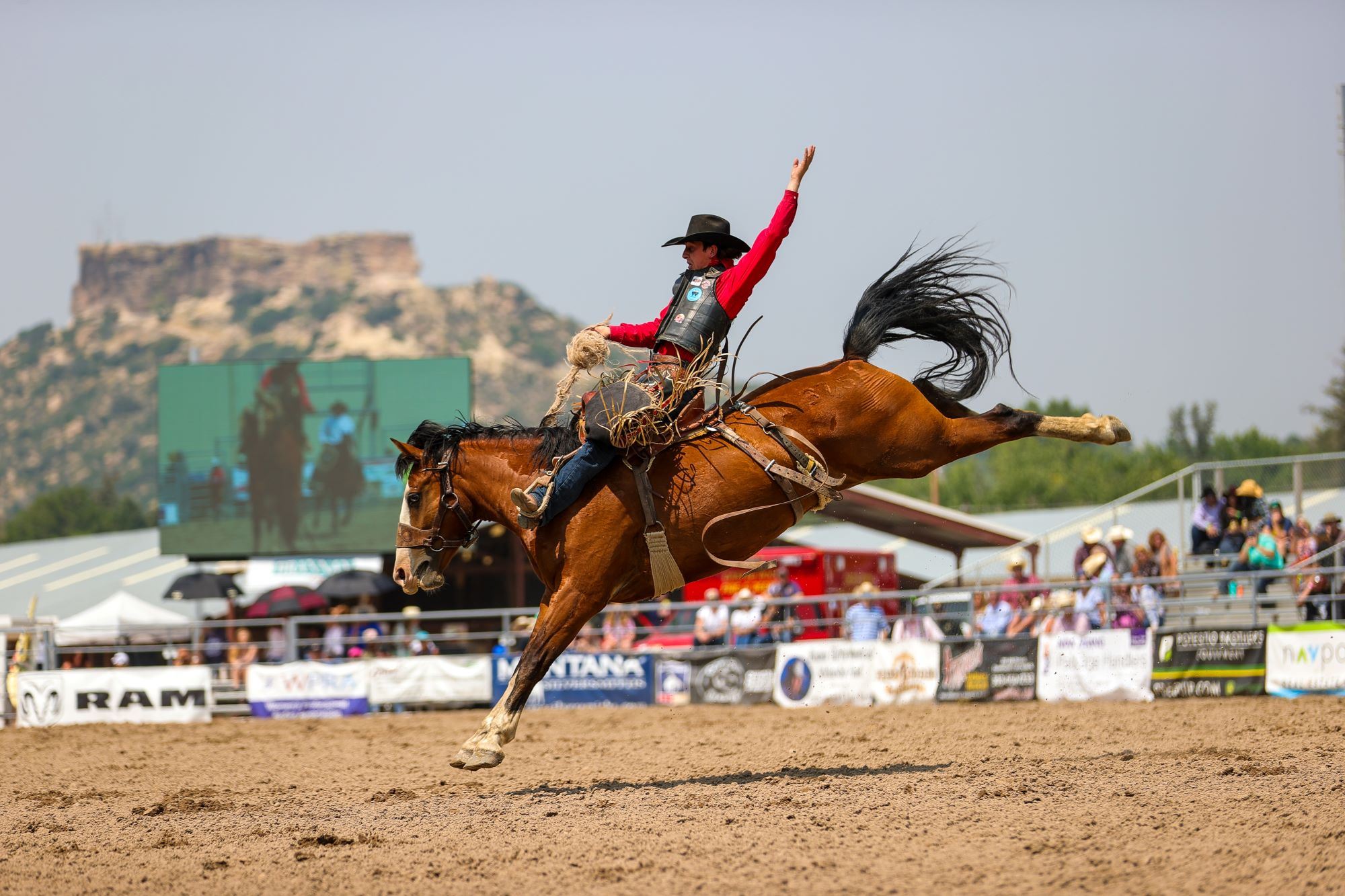 Douglas County Fair & Rodeo The Castle Pines Connection