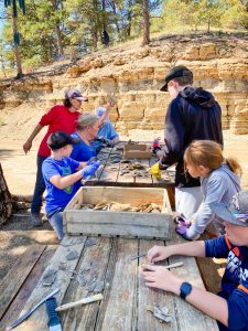 Photo of fossil hunting a fun family activity