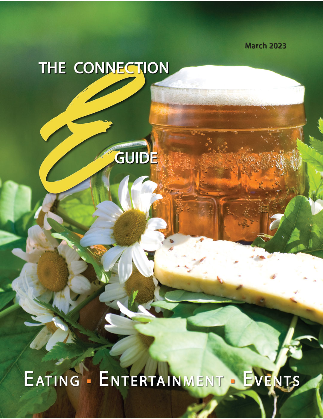 eguide-cover