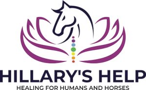 logo for hillarys help