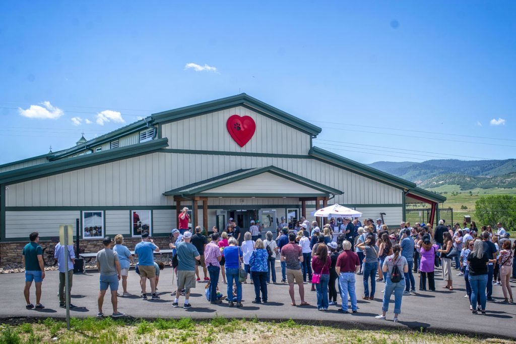 exterior of new dog place