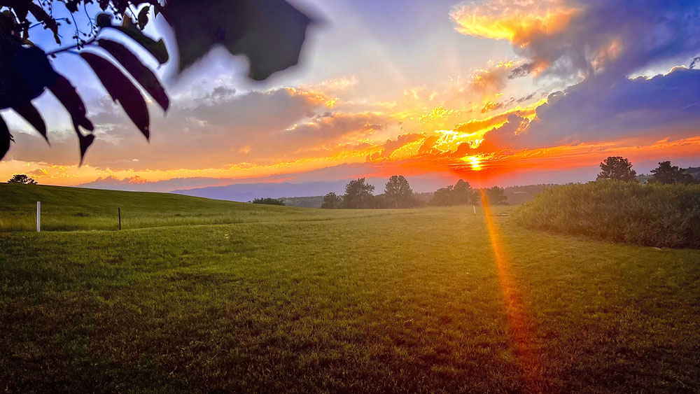 sunset over field