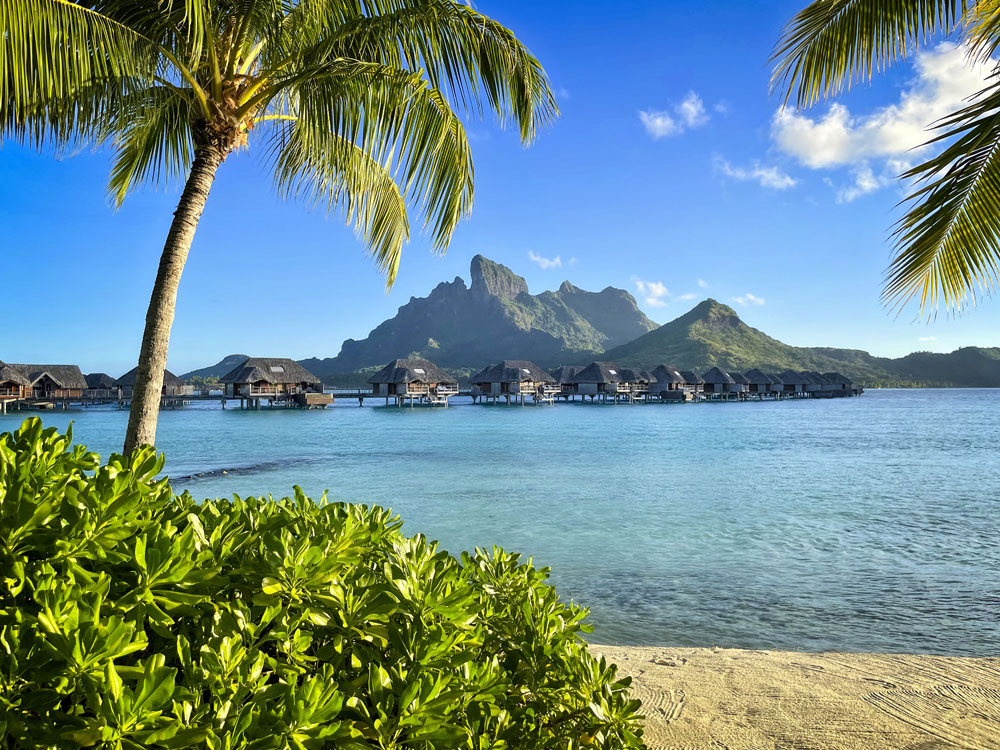 beach and ocean view