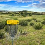 disc golf out in field