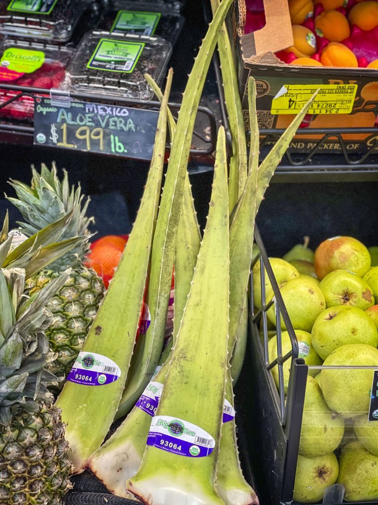 aloe vera leaves in the produce section