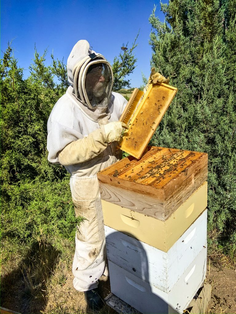 beekeeper with the bee hive