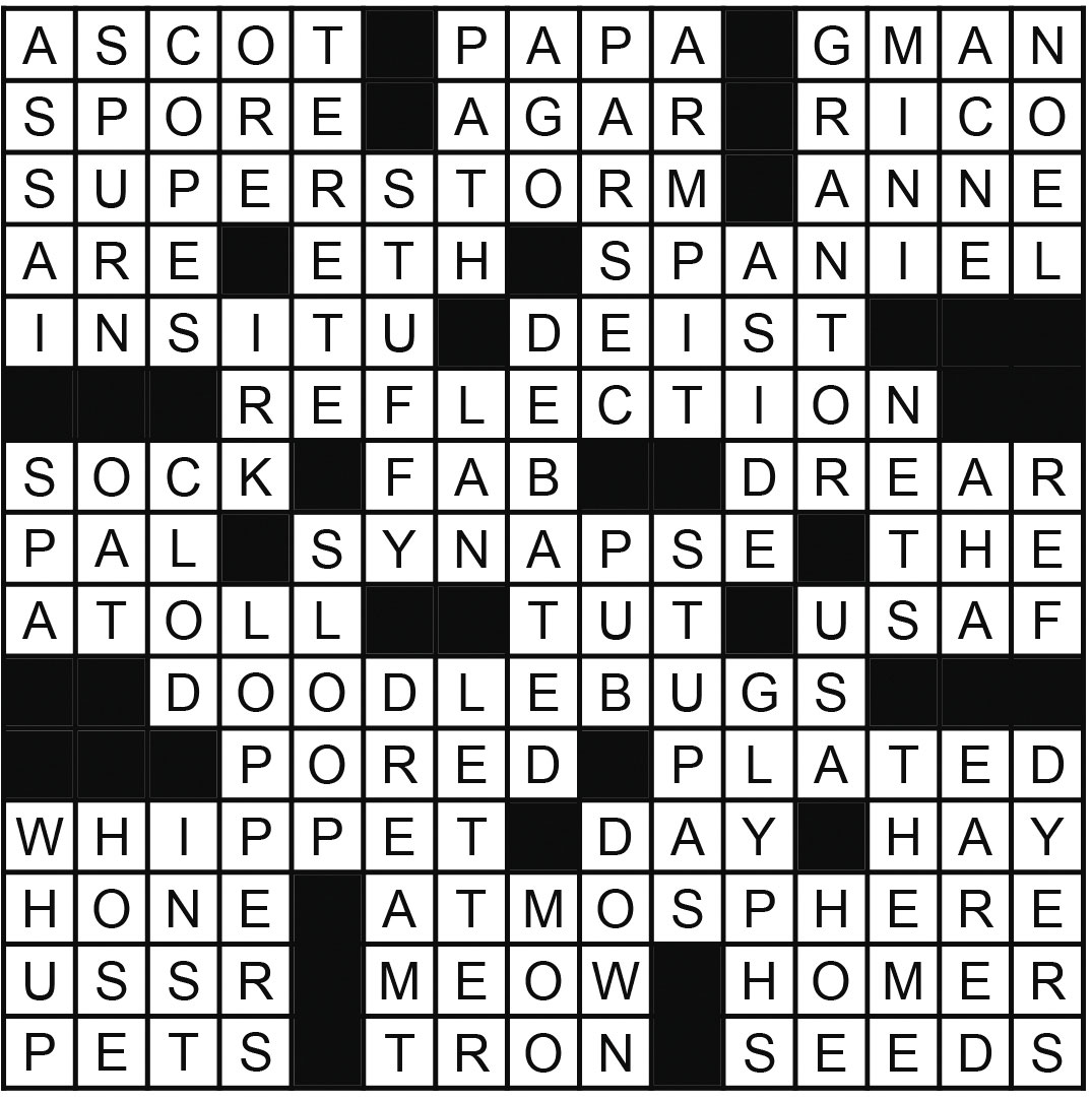 January Crossword The Castle Pines Connection