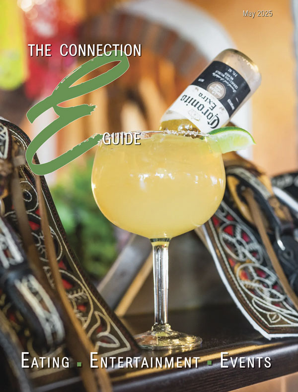 may25-EGuidecover
