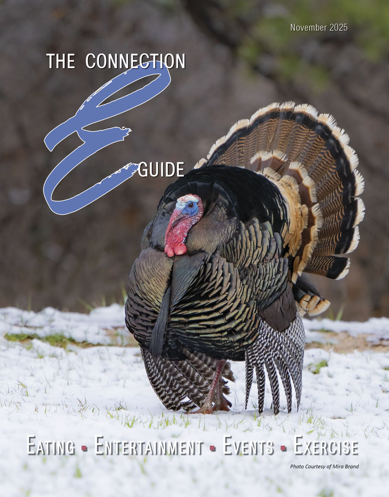 00-esub-frontcoverEG