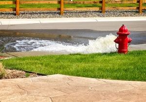 05-Flushing-Fire-Hydrant